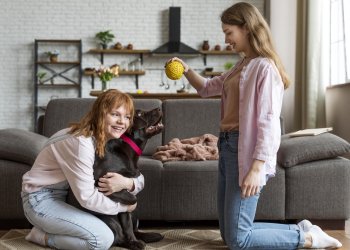 Evcil Hayvan Sahipleri İçin Koltuk ve Halı Temizliği Yöntemleri